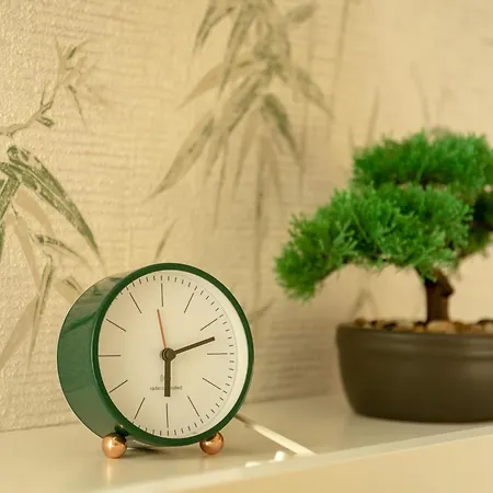 Francos Relaxing By The Metro Daire Porto