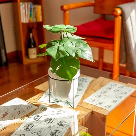 Francos Relaxing By The Metro Porto